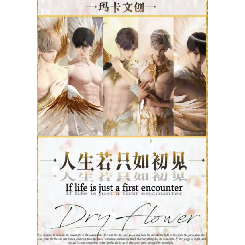 玛卡文创《人生若只如初见》大尺寸撕撕乐拍立得